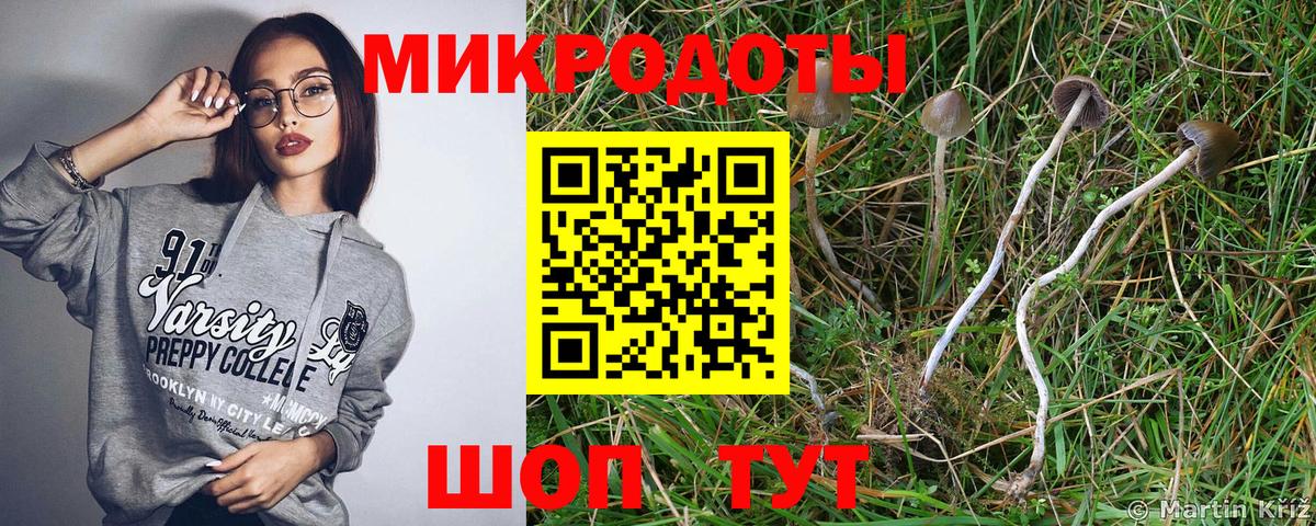 Псилоцибиновые грибы GOLDEN TEACHER Пушкино